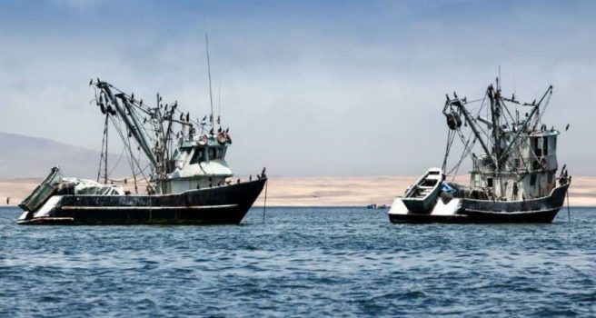 Guide to responsible fish consumption